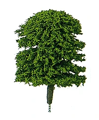 Plastruct 94001 Elm Trees -- 1/4", All Scales