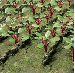 JTT Trees & Shrubs 95593RHUBARB PLANTS, O Scale
