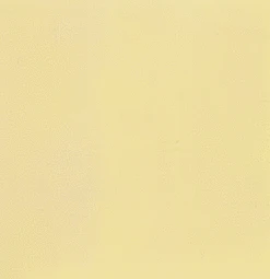 Noch Gmbh & Co 61191 Acrylic Matt 90ml Bottle -- Ivory, All Scales