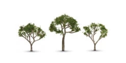 Woodland Scenics WOO3525 Gum Trees -- 2-1/2 - 3-1/2" 6.4 - 8.9cm Tall Pkg(3), All Scales
