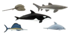 Woodland Scenics 4447 Scene-A-Rama(R) -- Marine Life Figures Pkg(5), All Scales